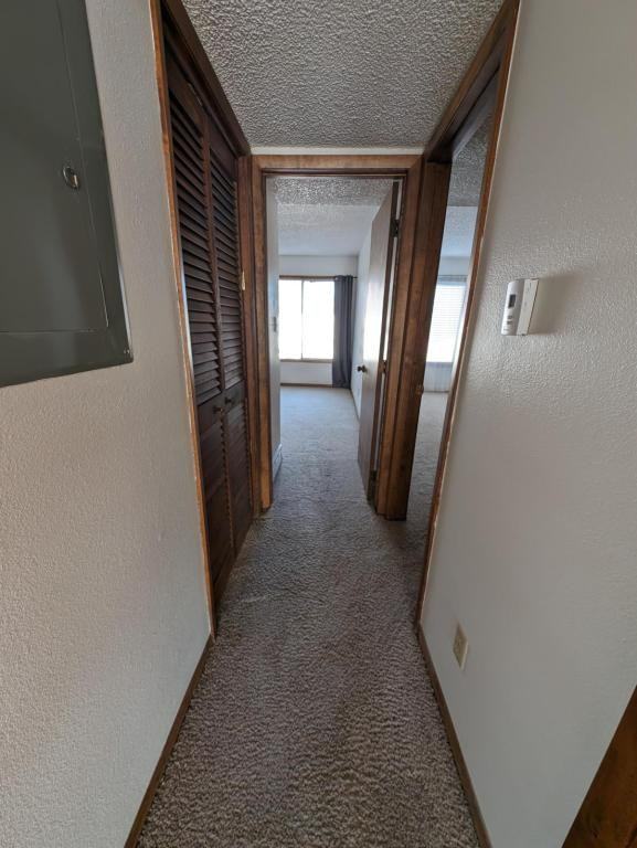 603 Park St Apt 202 - Photo 4 of 11