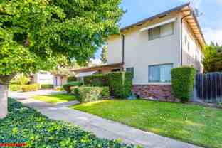 Opal 782 - Photo 1 of 1