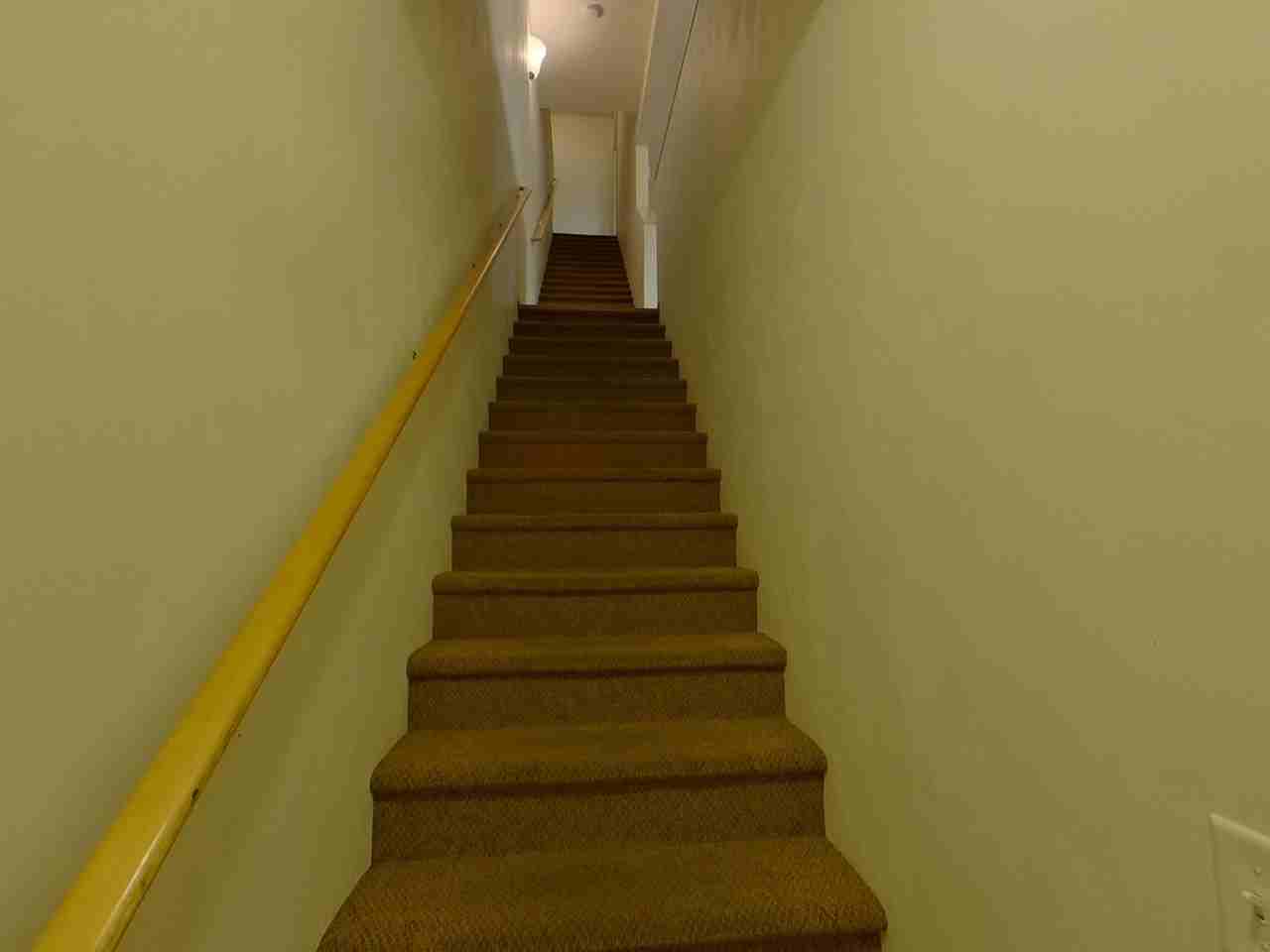 The Studies - Photo 6 of 18