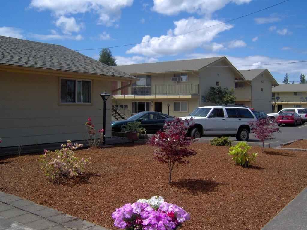 Maple - Photo 2 of 10