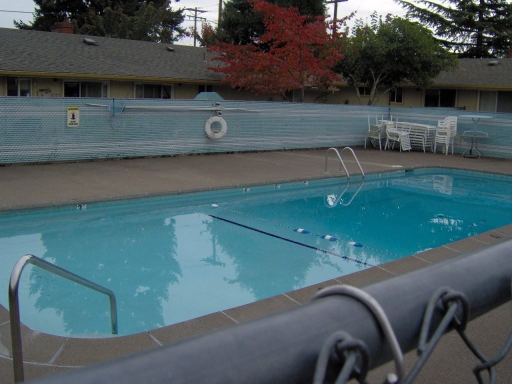 Maple - Photo 3 of 10