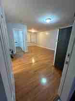 Common Star - Photo 1 of 1