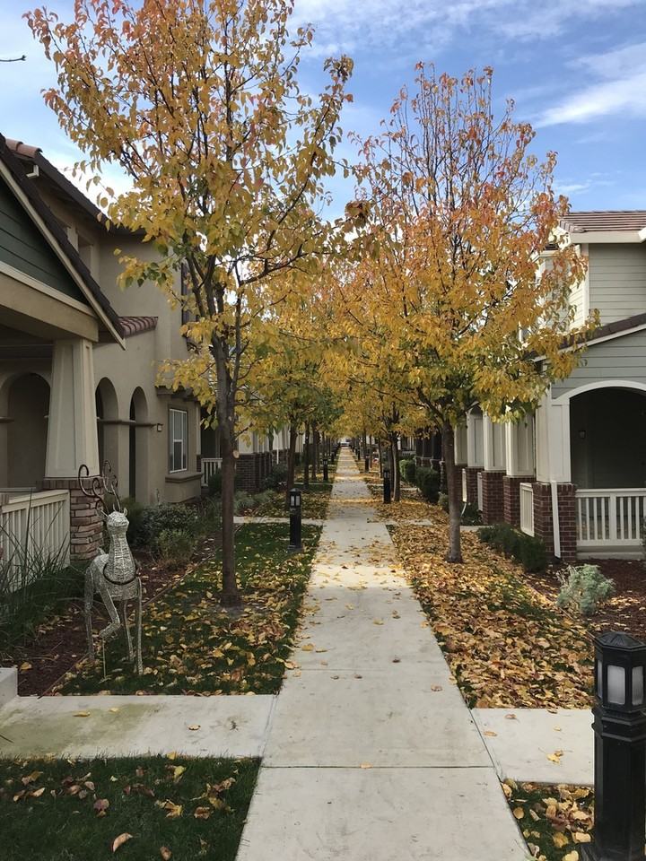 307 W Tuscan Ln - Photo 2 of 23