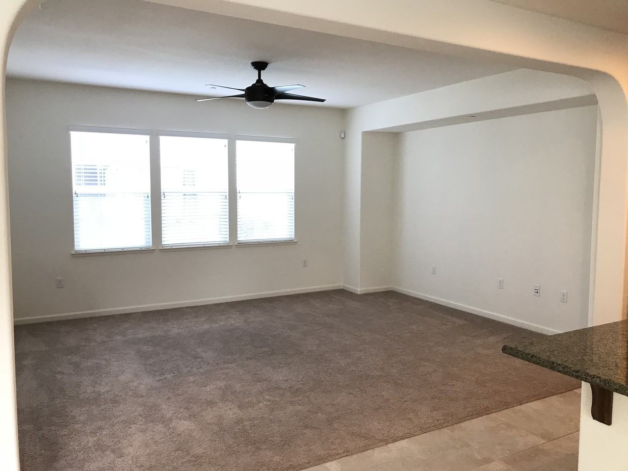 307 W Tuscan Ln - Photo 7 of 23