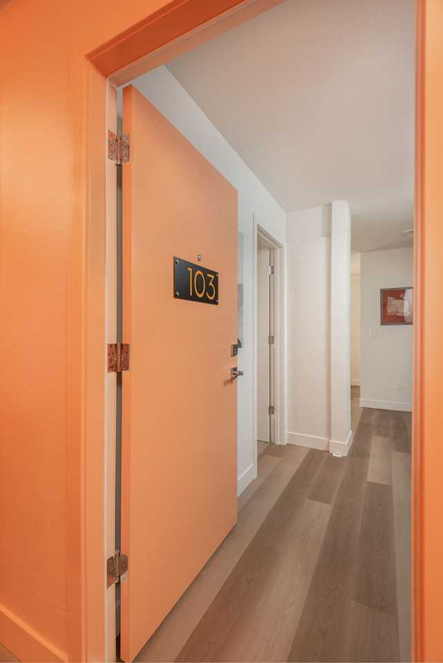 Viola - Photo 5 of 24