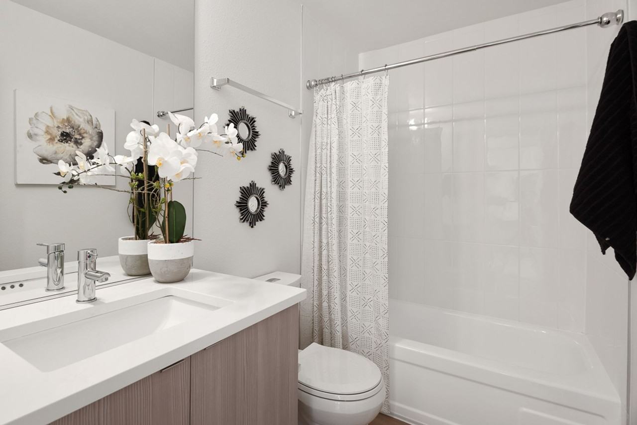 Viola Apartments - Photo 3 of 24