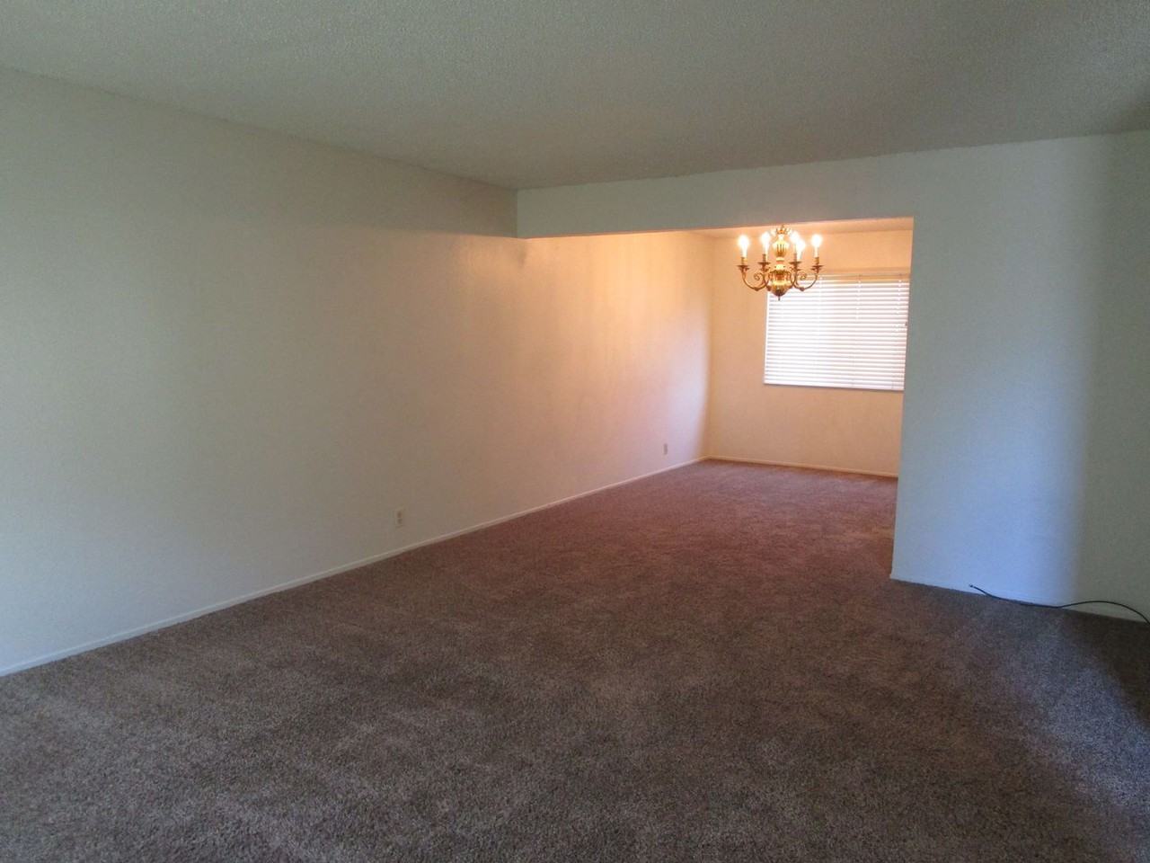 404 Coot Ln - Photo 3 of 19