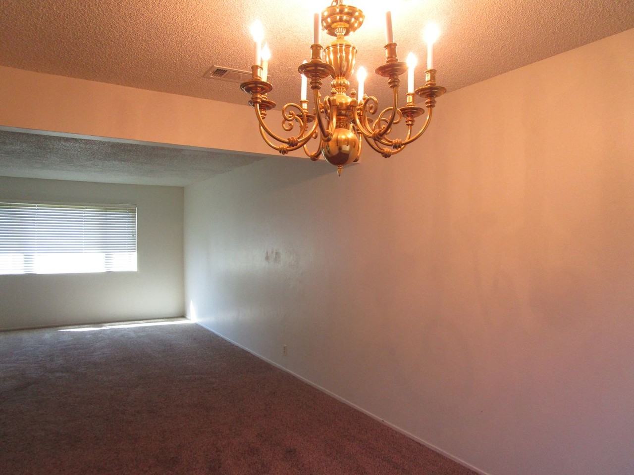 404 Coot Ln - Photo 4 of 19