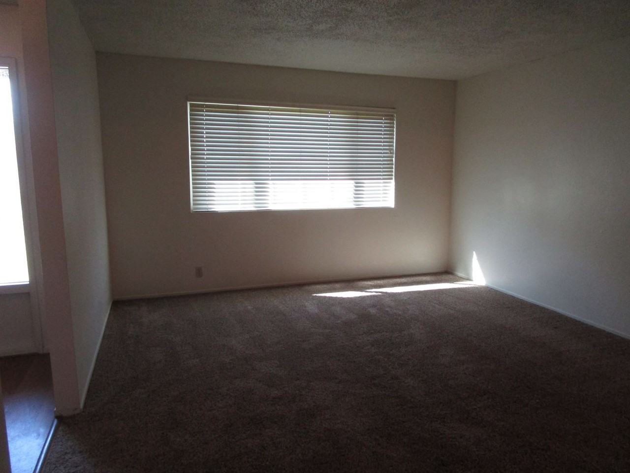 404 Coot Ln - Photo 5 of 19