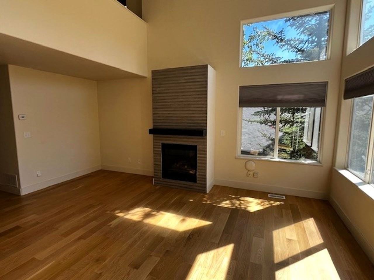 55 Salt Lick Pl - Photo 6 of 32