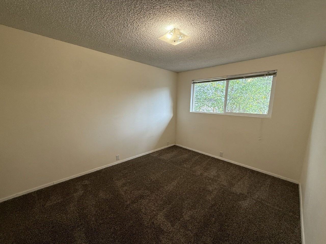 2485 York St - Photo 5 of 19