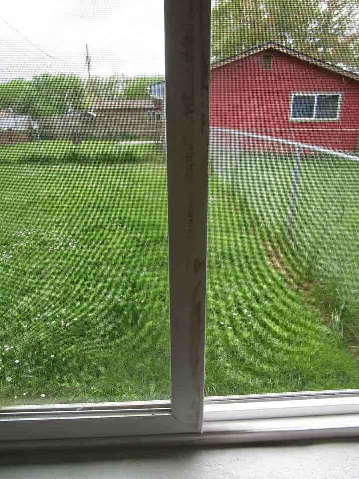 910 N 4th St - Photo 7 of 16