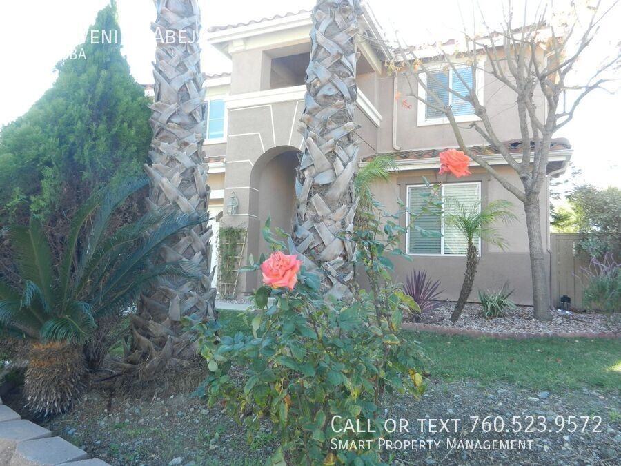 875 Avenida Abeja - Photo 2 of 50