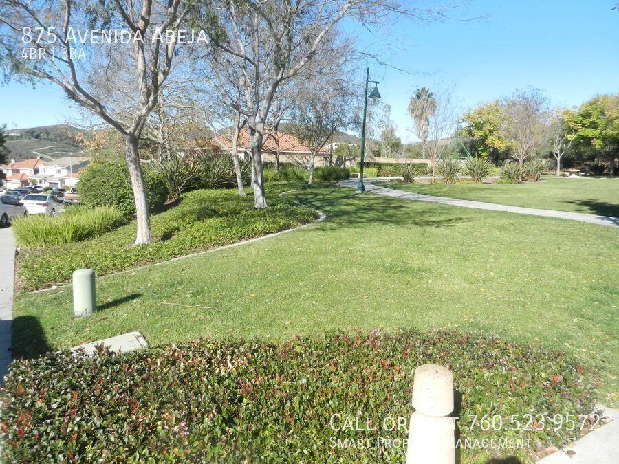 875 Avenida Abeja - Photo 6 of 50