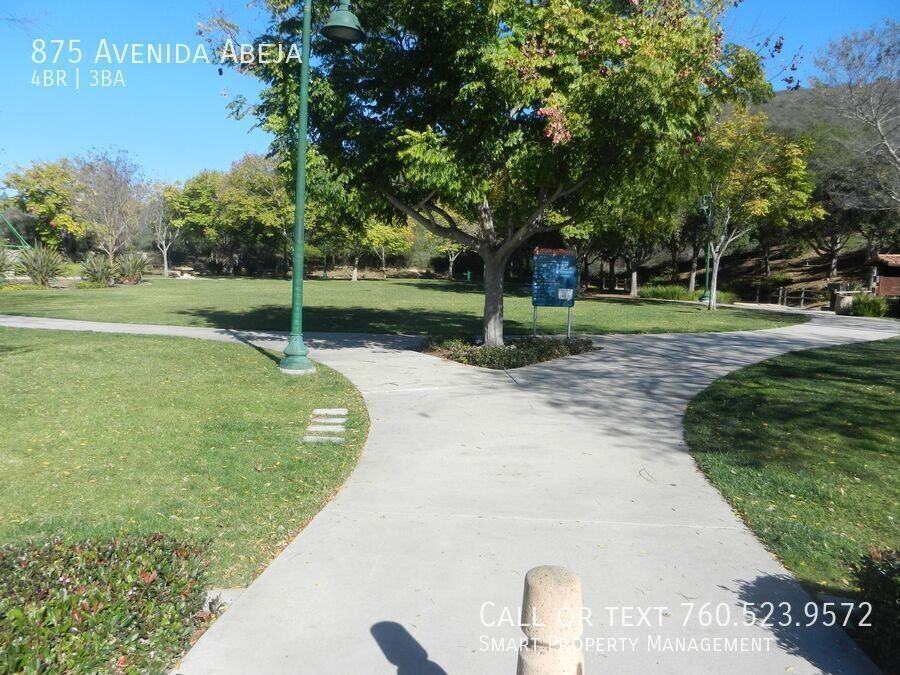 875 Avenida Abeja - Photo 7 of 50
