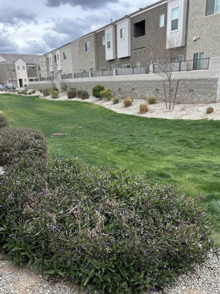 2273 W Echo Ln #2273 - Photo 4 of 16