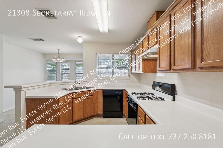 21308 Secretariat Ridge Ln - Photo 7 of 19