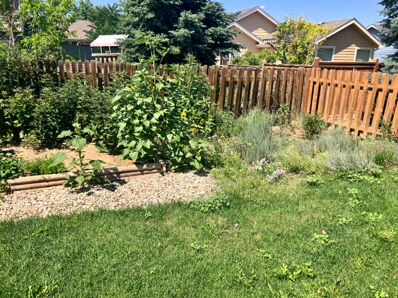 2451 W 44th St - Photo 2 of 18