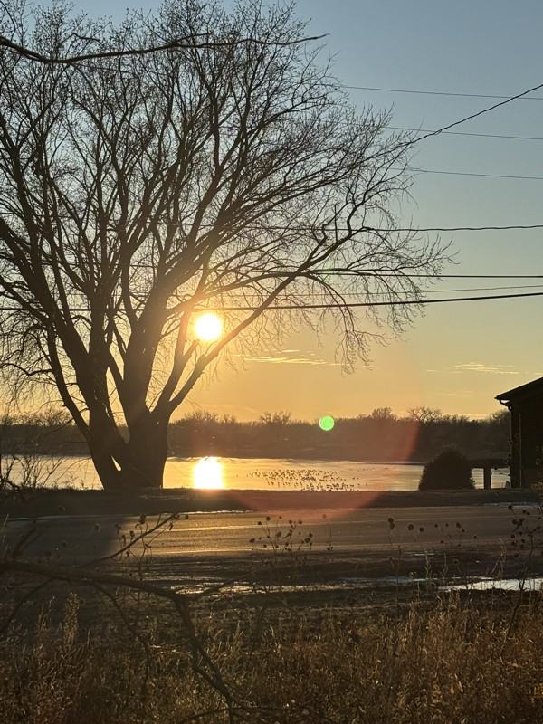 36 Northshore Dr - Photo 2 of 22