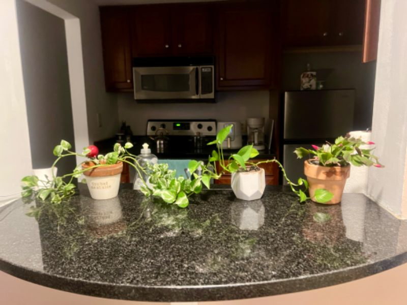 1280 Wps. - Photo 3 of 7