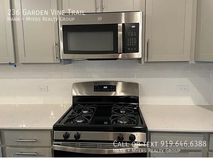 236 Garden Vine Trl - Photo 3 of 12