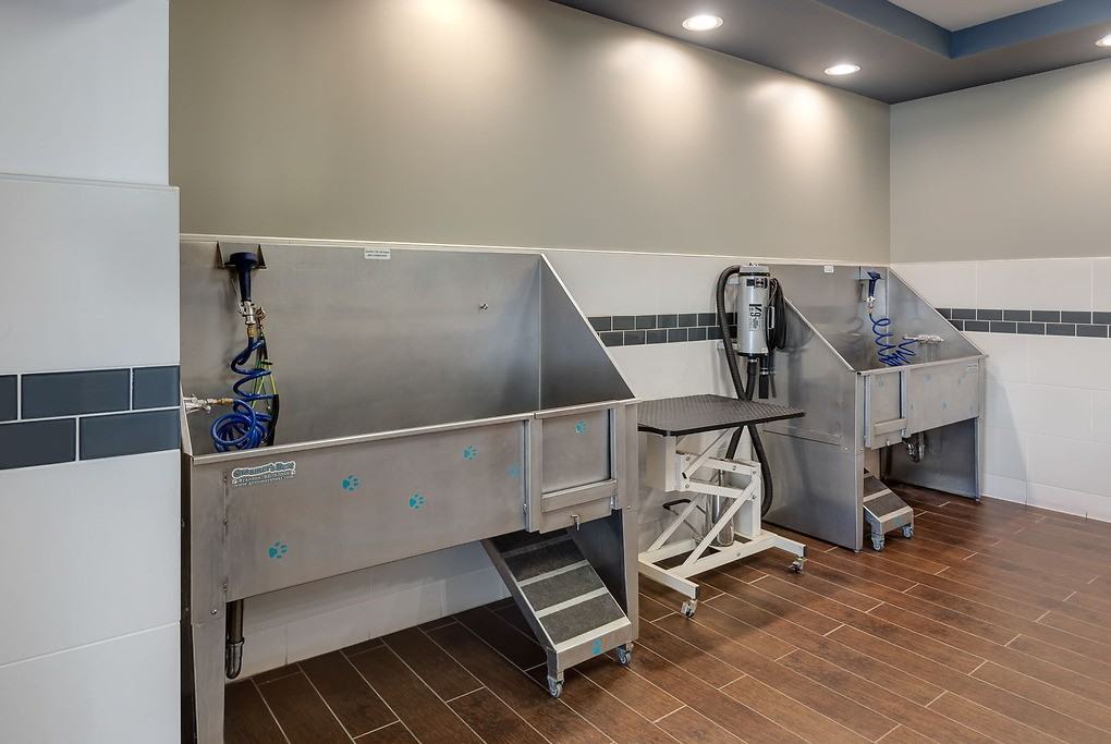 Ashton Sherman Village - Photo 7 of 39