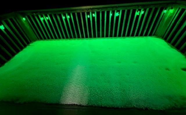 3133 Eaton St - Photo 3 of 18