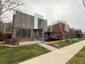 Blue Koi - Photo 1 of 1