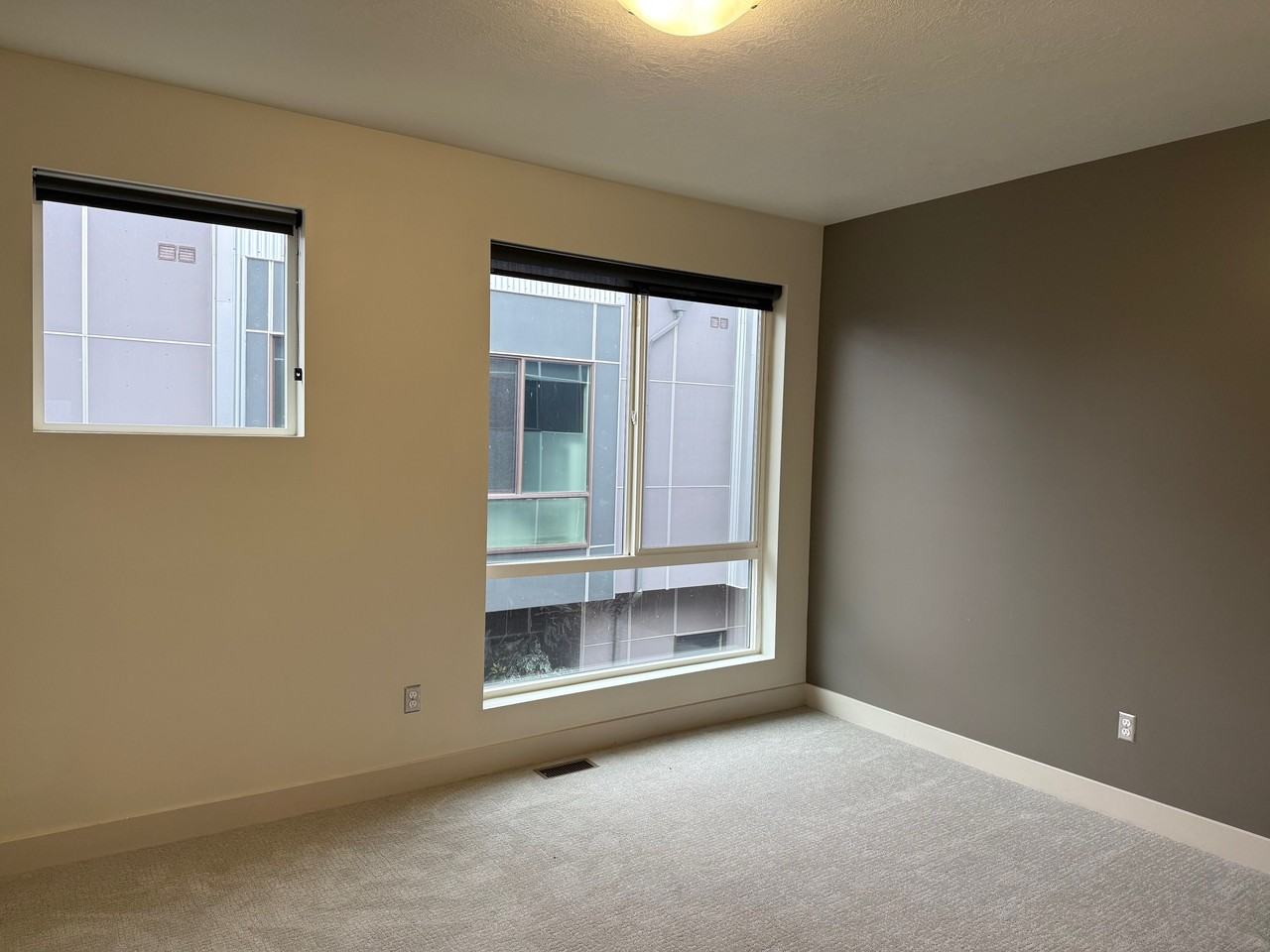 Blue Koi - Photo 5 of 13