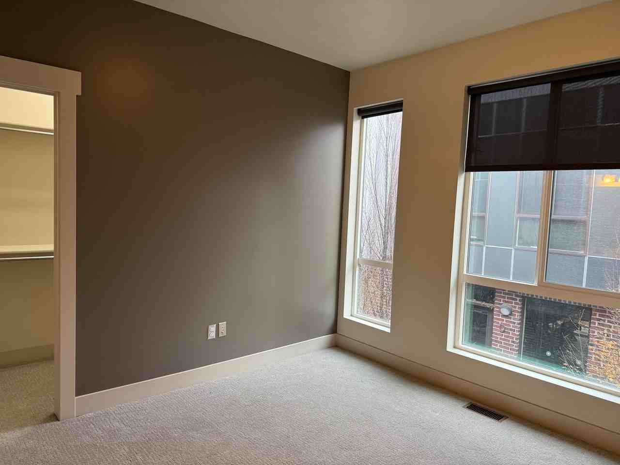 Blue Koi - Photo 7 of 13