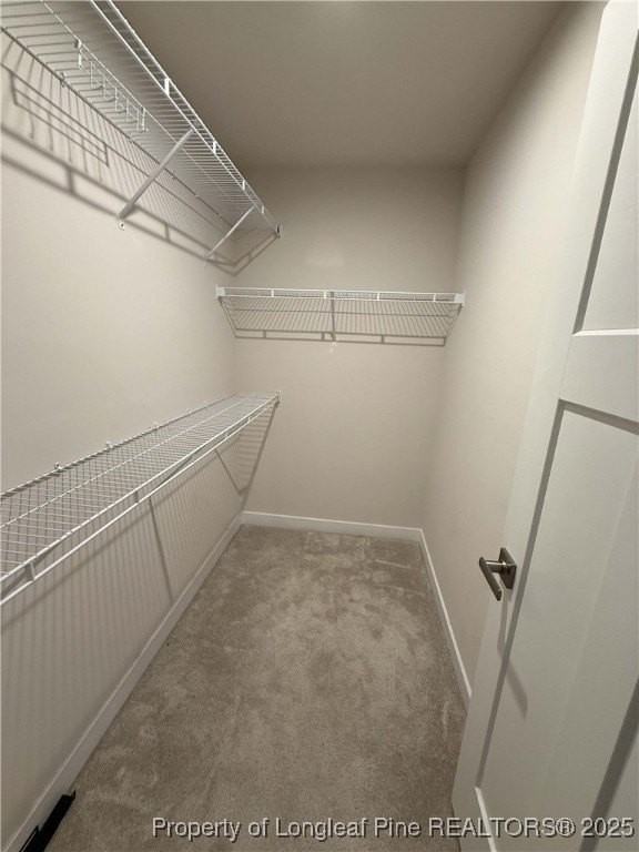 2132 Autumn Cyprus Ave - Photo 5 of 12