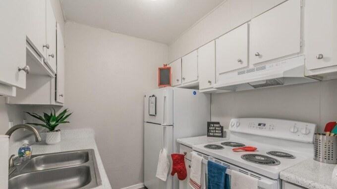 3504 Fawn Valley Dr - Photo 3 of 8