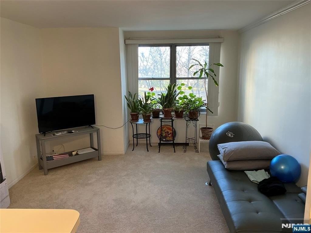 301 Beech St Apt 1h - Photo 7 of 16