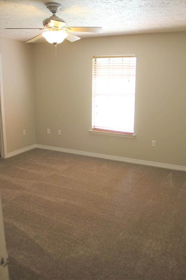 2038 Vizcaya Dr - Photo 7 of 15