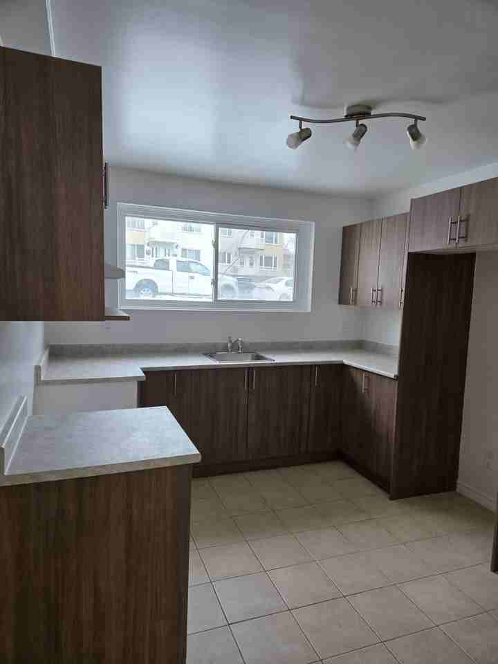 2625 Avenue Aubert #1 - Photo 6 of 12