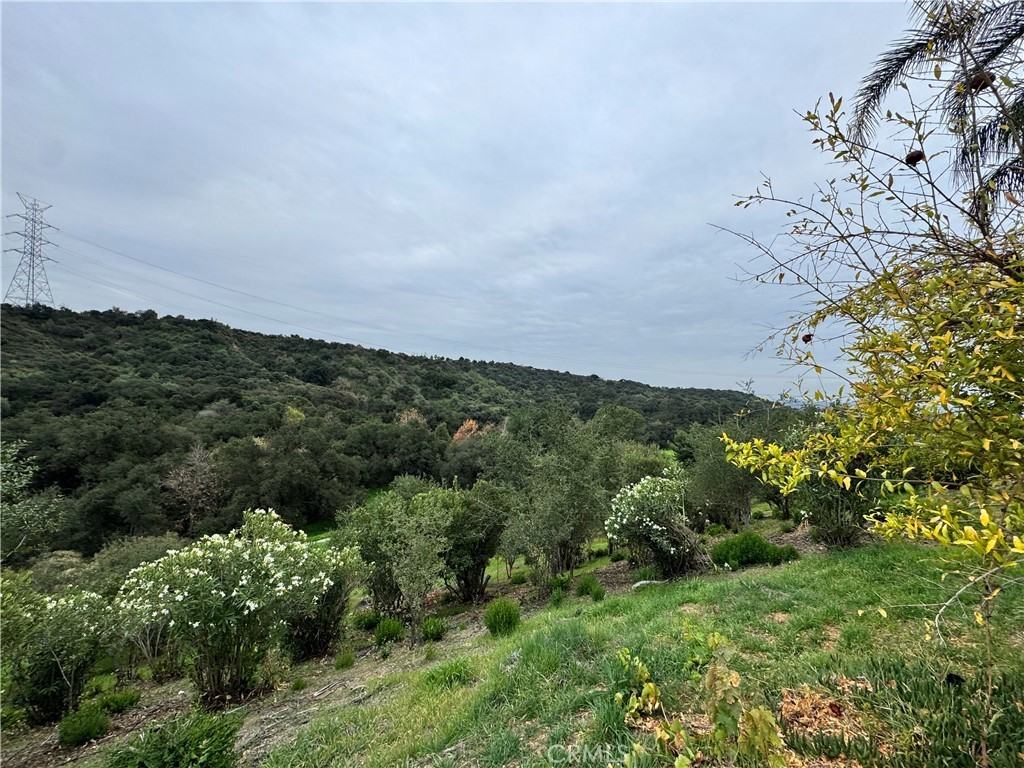 2142 Iron Club Dr #2142 - Photo 6 of 50