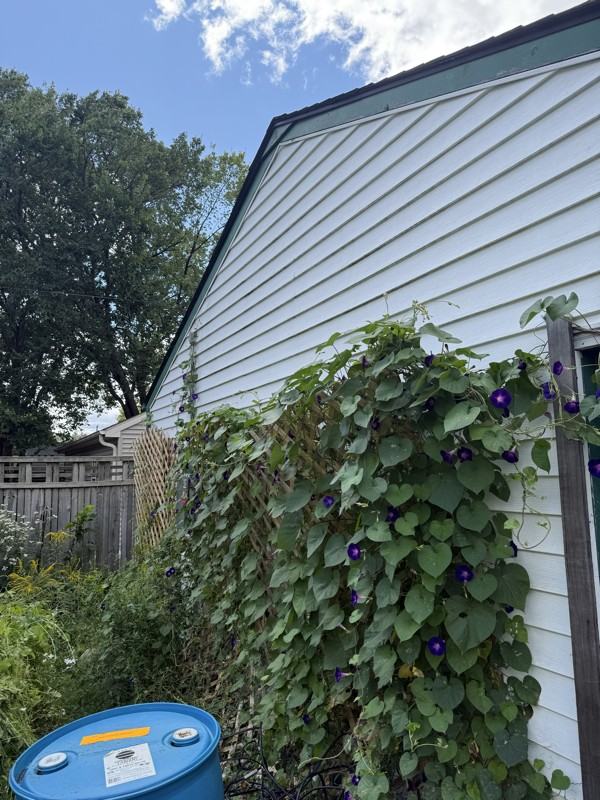 2334 Brewster St - Photo 5 of 6