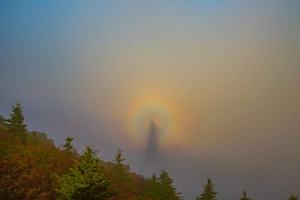 featured image of 3908 Old Jonesborough Rd #7