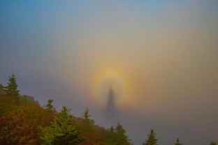 3908 Old Jonesborough Rd #7 - Photo 1 of 1