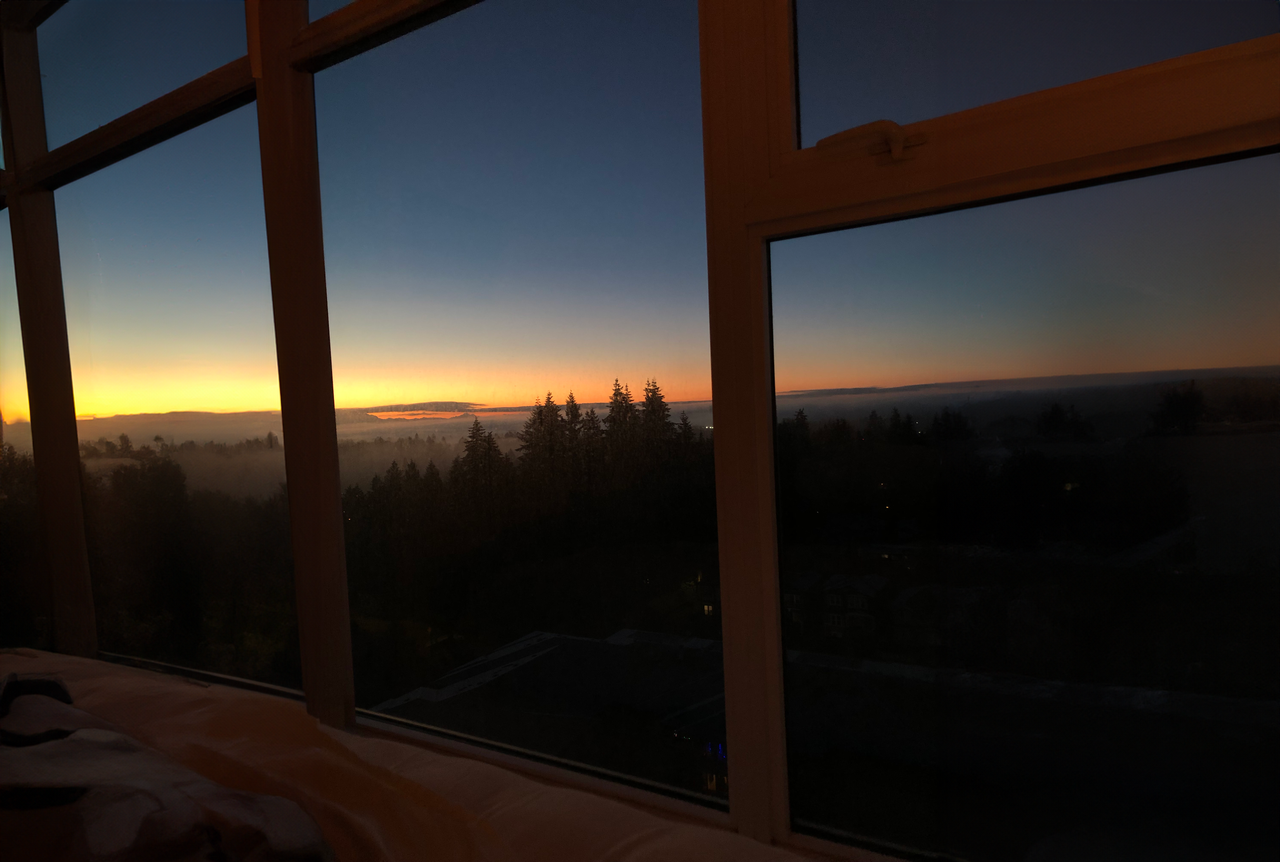 3102 Windsor Gate - Photo 3 of 13