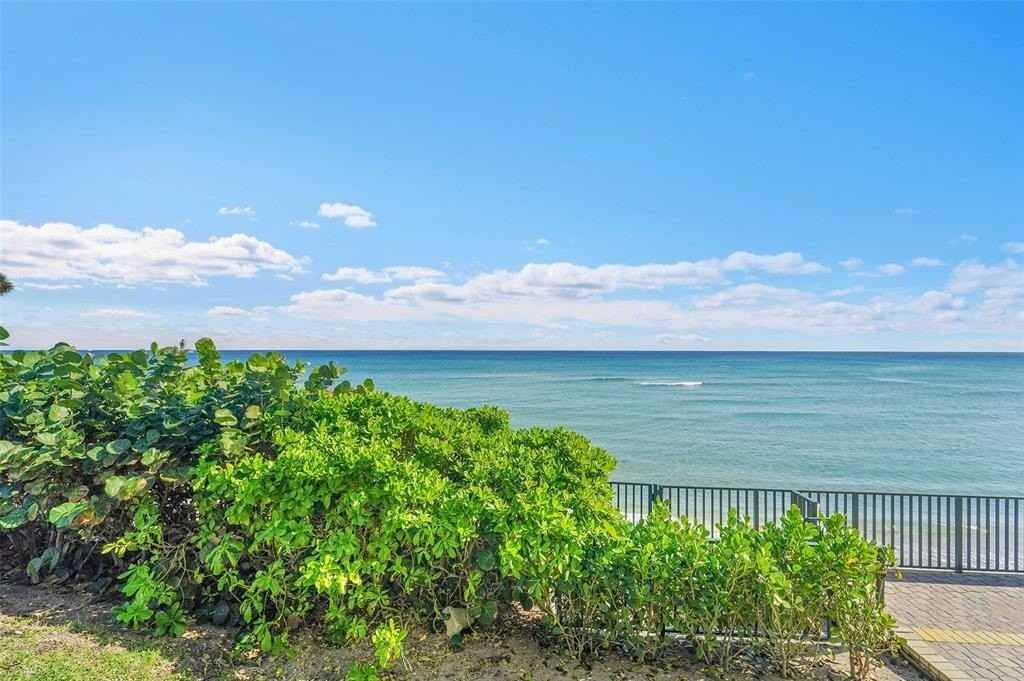 1239 Hillsboro Mile #109 - Photo 3 of 37