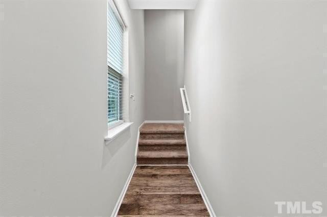 2223 Chattering Lory Ln - Photo 5 of 49