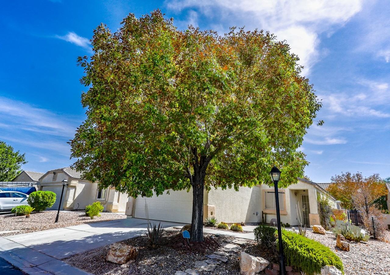 6208 Grizzly Gorge St - Photo 3 of 29