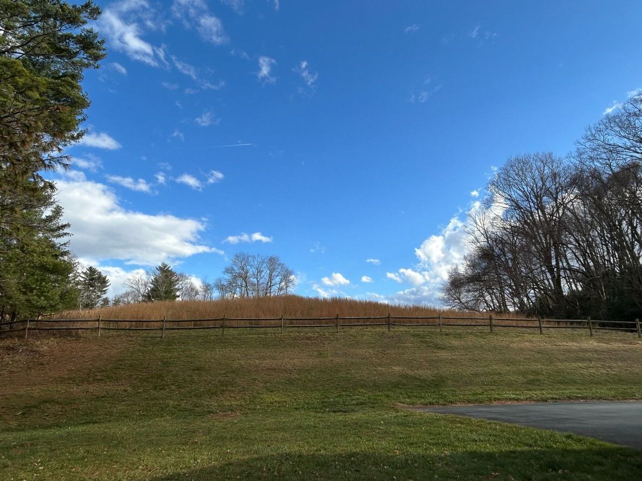 1932 Browns Chapel Rd - Photo 2 of 37