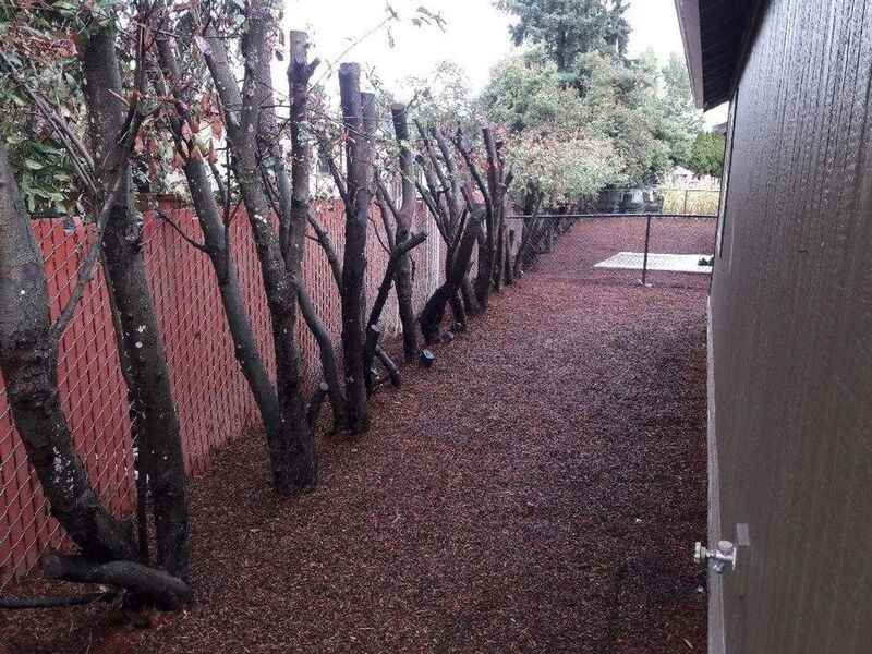 201 Lacasa St - Photo 3 of 12