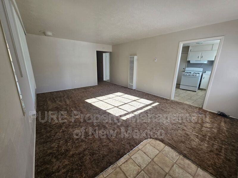 726 El Paso Dr - Photo 4 of 13