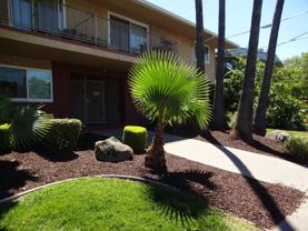 Elegante - Photo 1 of 1