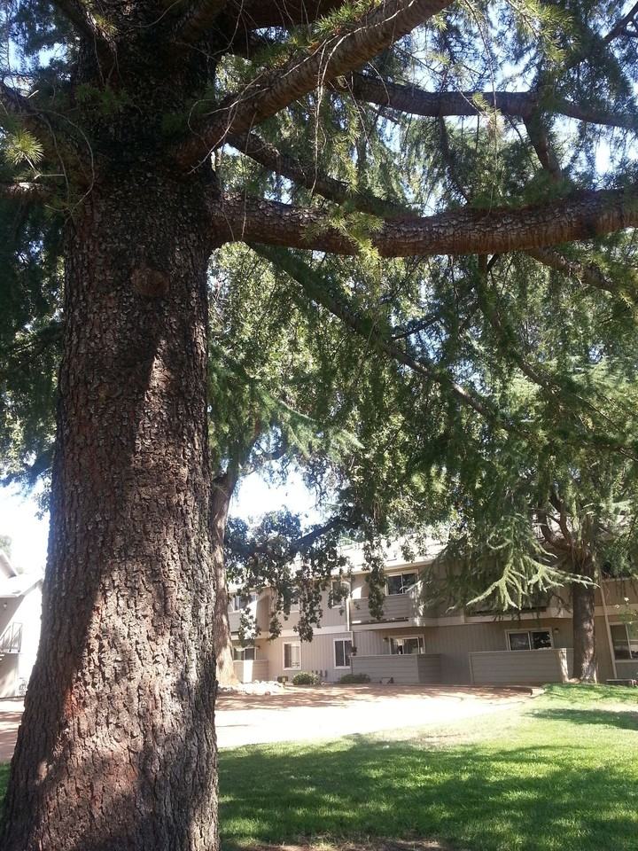 Auburn Creek Apartments - Photo 3 of 5