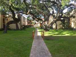 featured image of Cedars Condo