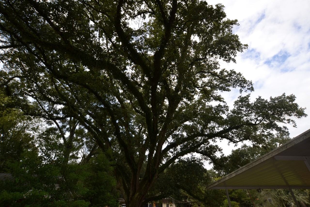 4627 41st St - Photo 6 of 29